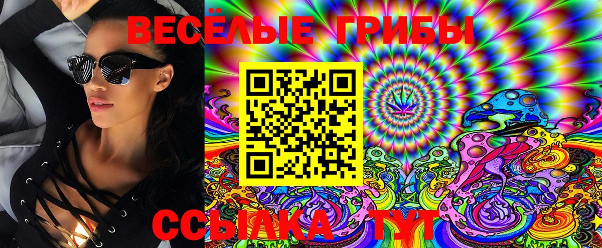 Галлюциногенные грибы Psilocybine cubensis Ирбит