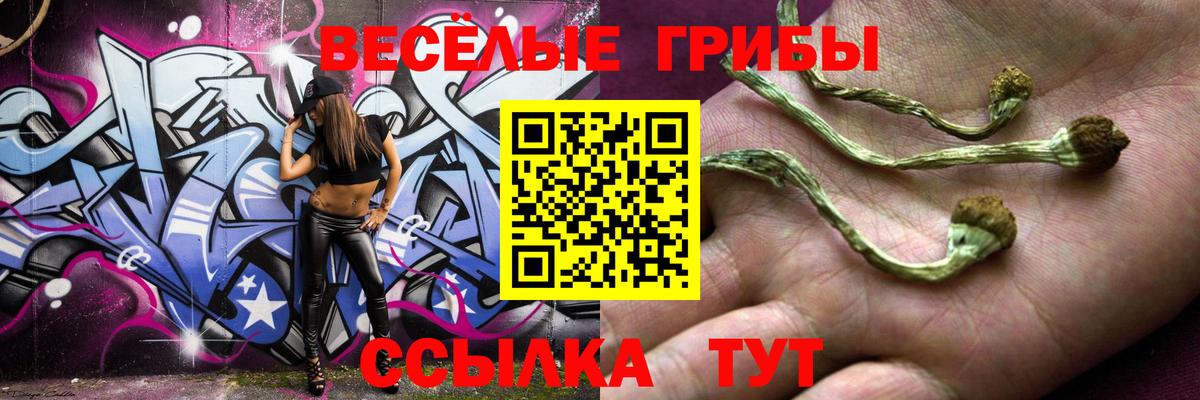 Ирбит  Псилоцибиновые грибы Cubensis  Вход с VPN  Псилоцибиновые грибы мицелий 